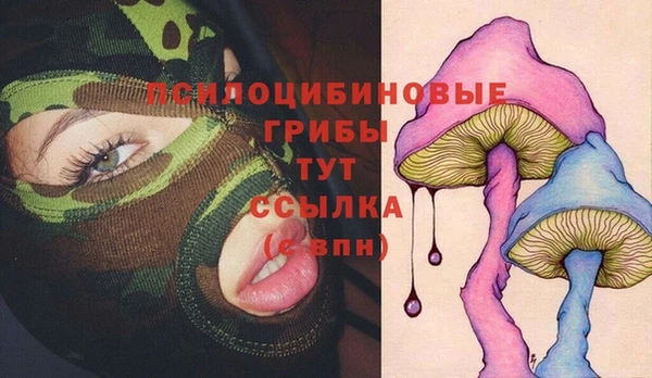ГАЛЛЮЦИНОГЕННЫЕ ГРИБЫ Сатка
