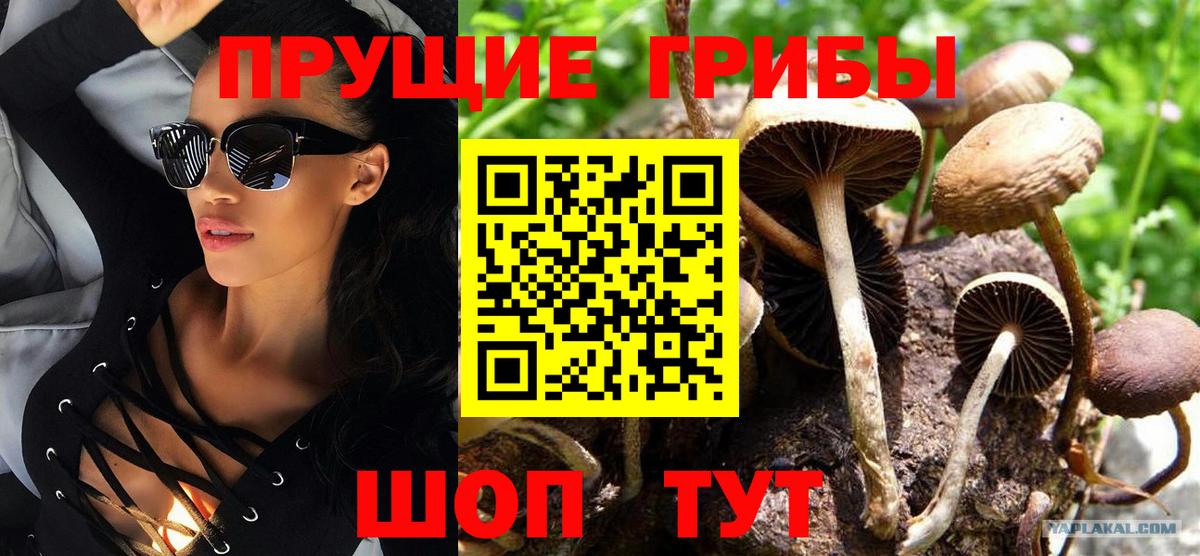 Псилоцибиновые грибы MAGIC MUSHROOMS Ишим